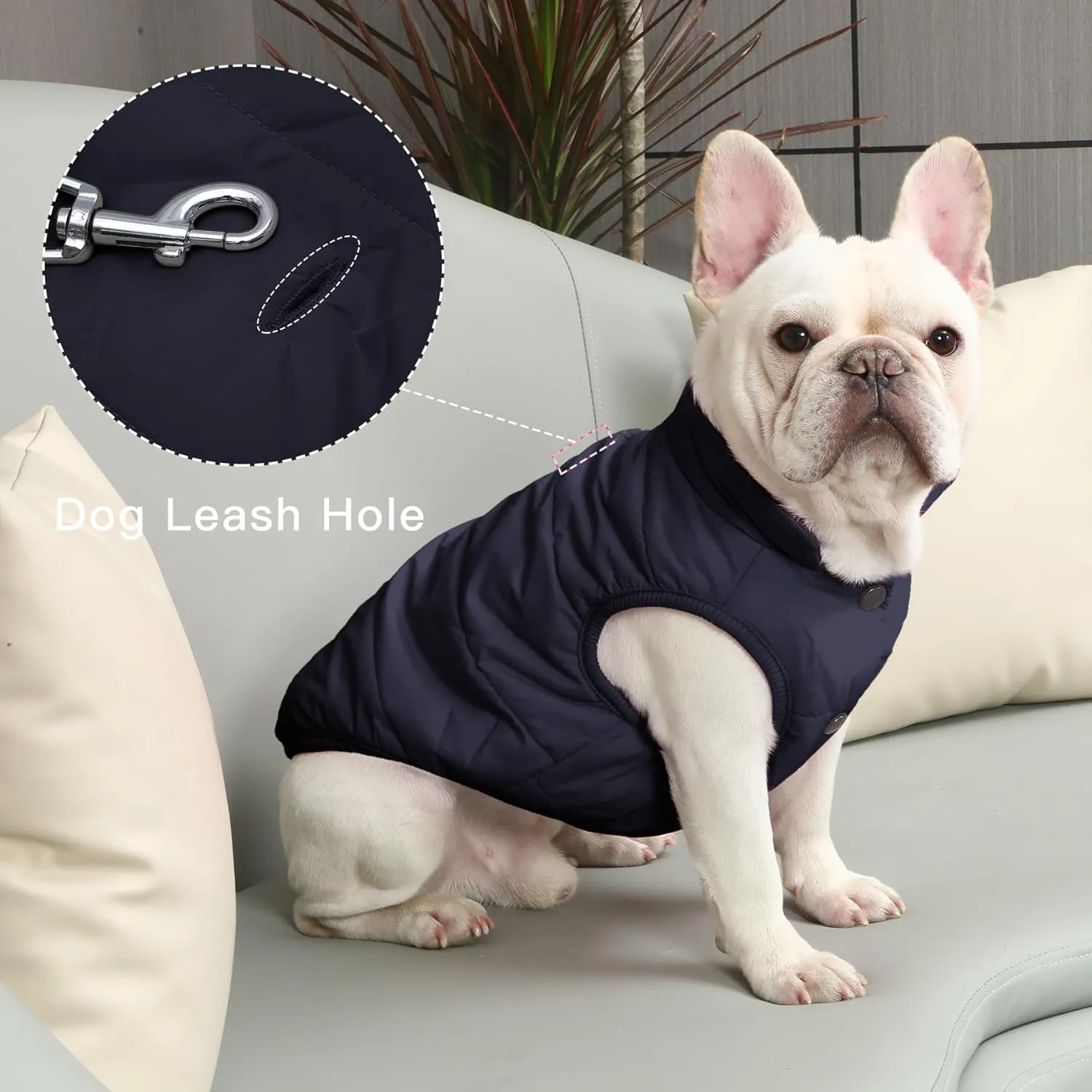 2 Layers Fleece Lined Warm Dog Jacket for Puppy Winter Cold Weather,Soft Windproof Small Dog Coat,Blue M