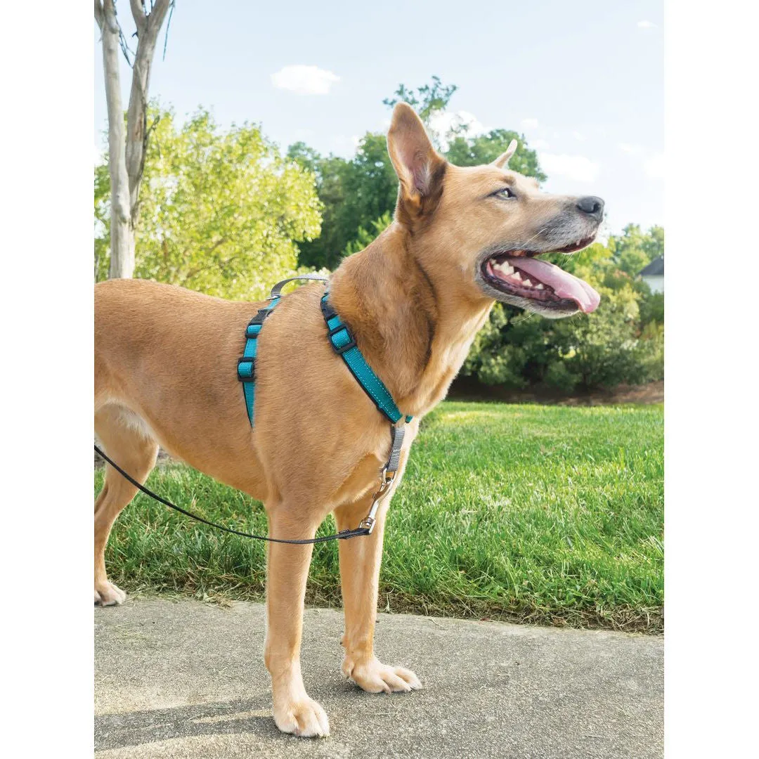 3 in 1 Harness