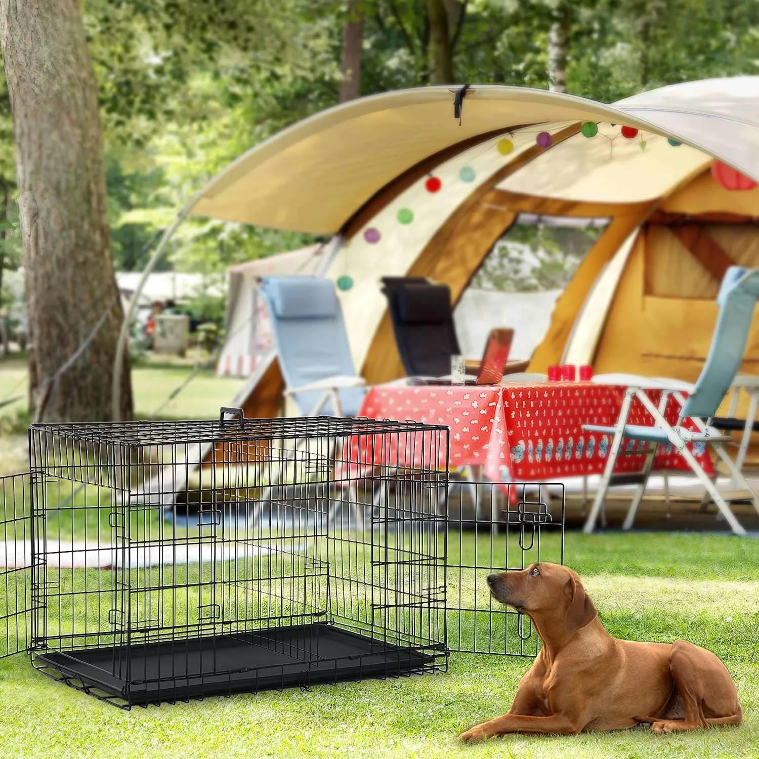 48-Inch Double Door Folding Metal Dog Crate with Divider and Leak-Proof Pan - For Medium to Large Breed Dogs