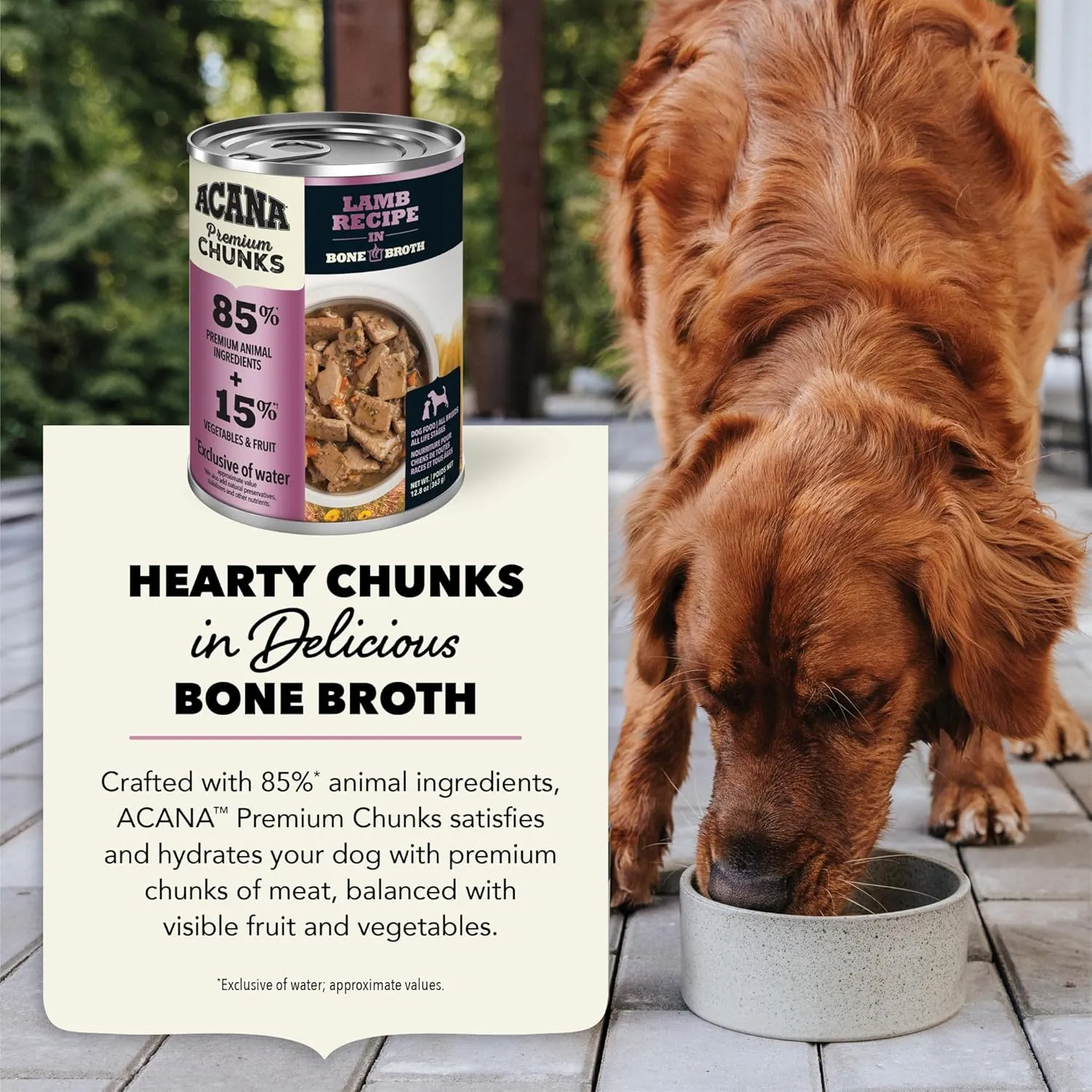 ACANA Premium Chunks Wet Dog Food, Lamb Recipe in Beef Bone Broth and beef liver, 12.8oz (Case of 12)