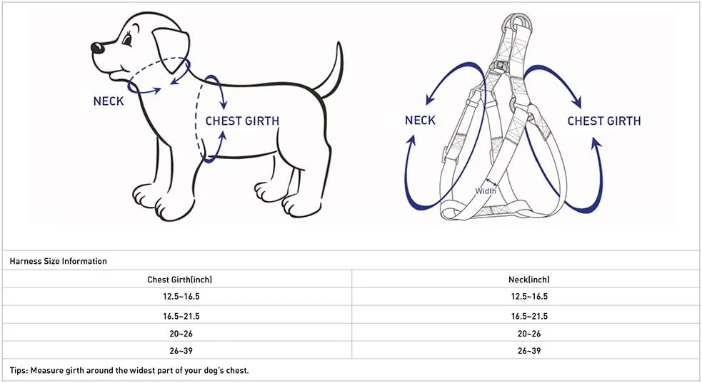 Blueberry Pet 5 Colors Step-in 3M Reflective Multi-Colored Stripe Padded Dog Harness, Chest Girth 16.5" - 21.5", Pink & White, Small, Adjustable Harnesses for Dogs