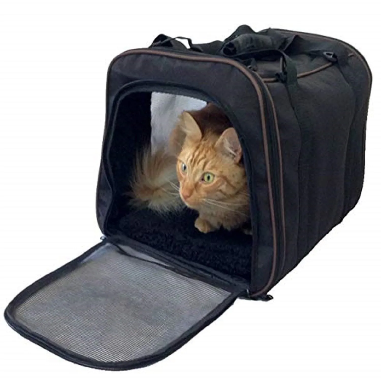 Custom Personalize Your Pet/Dog/Cat Carrier with Pet Name or Text
