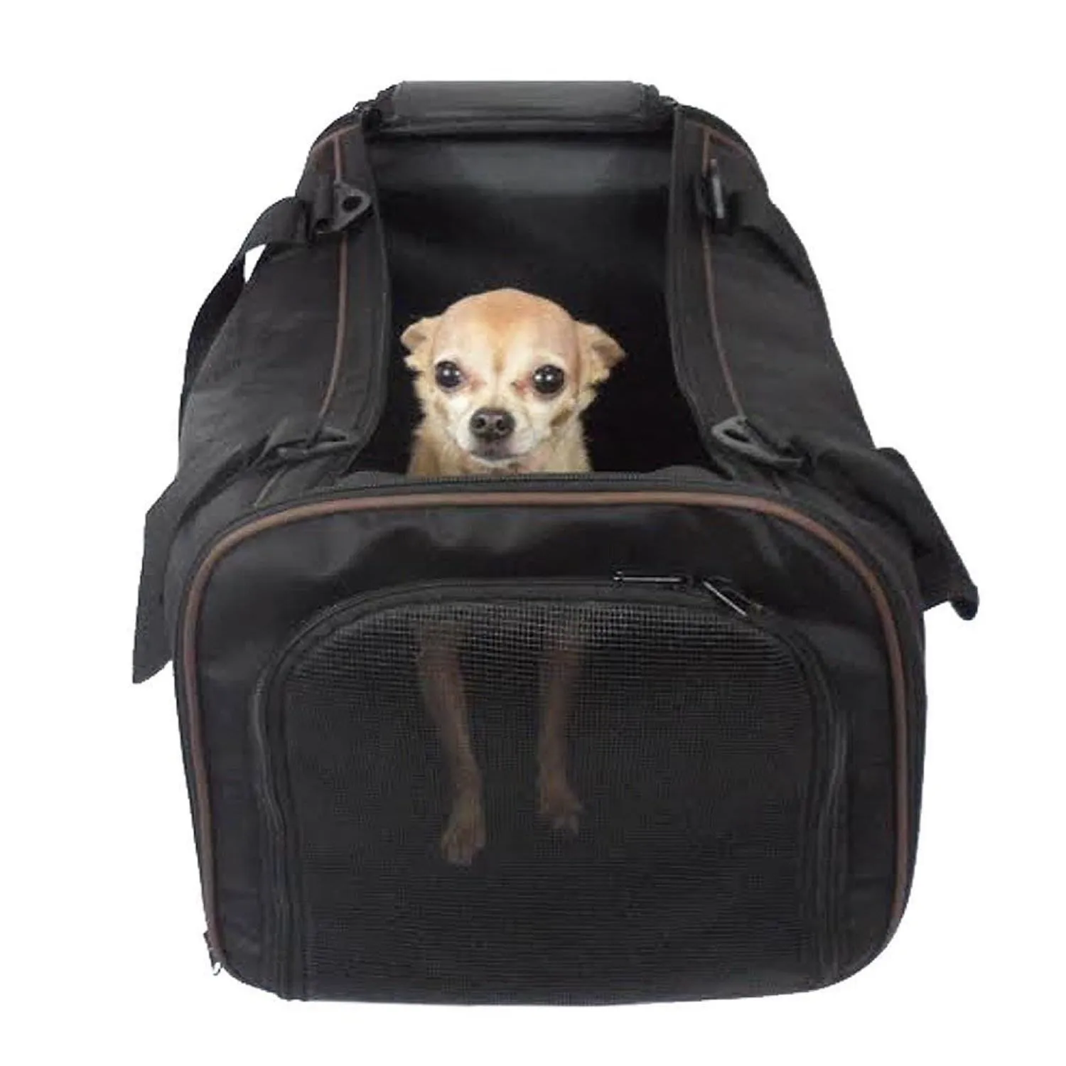 Custom Personalize Your Pet/Dog/Cat Carrier with Pet Name or Text