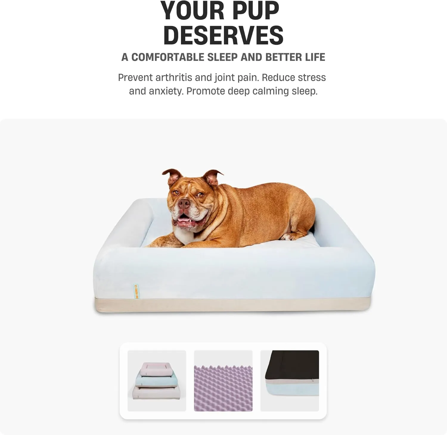 DF Co. Dog Orthopedic Memory Foam Bed | Helps Arthritis & Joint Pain | Lavender Infused, Waterproof Exterior, Machine Washable Cover, Anti-Slip Base | Beige, Size L