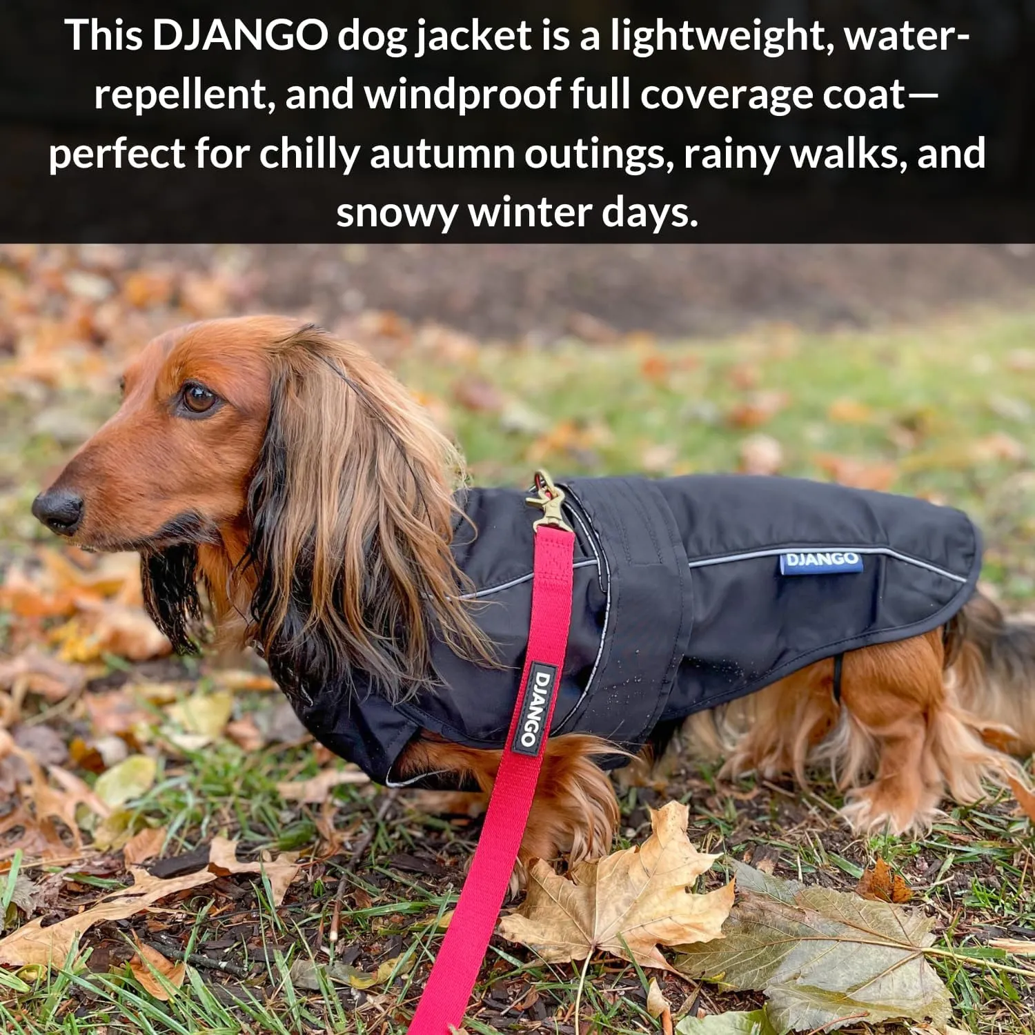 DJANGO City Slicker Waterproof Dog Raincoat and Lightweight Jacket for Long Dogs - Full Coverage Puppy Coat and Reflective Rain Slicker and Windbreaker - Adjustable with Harness Hole (Black, Large)