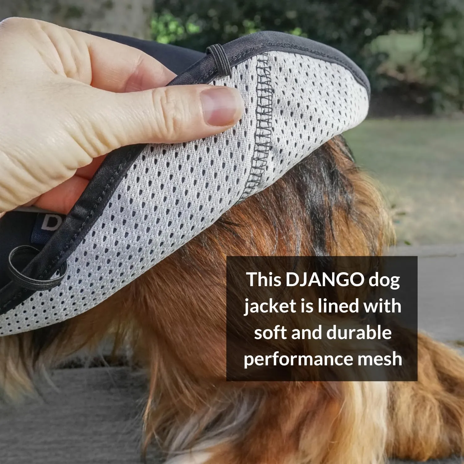 DJANGO City Slicker Waterproof Dog Raincoat and Lightweight Jacket for Long Dogs - Full Coverage Puppy Coat and Reflective Rain Slicker and Windbreaker - Adjustable with Harness Hole (Black, Large)