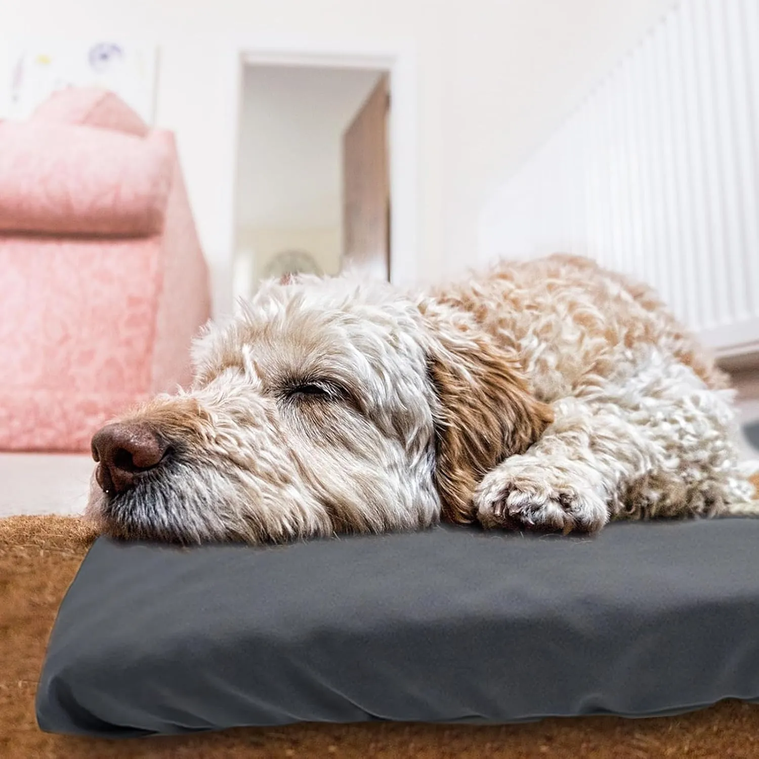 Dog Bed Cover Waterproof Replacement Machine Washable Covers for Dog Bed Heavy Duty Scratch Resistant Mattress Protector Pet Bed 30x20 Inch Grey Cover Only