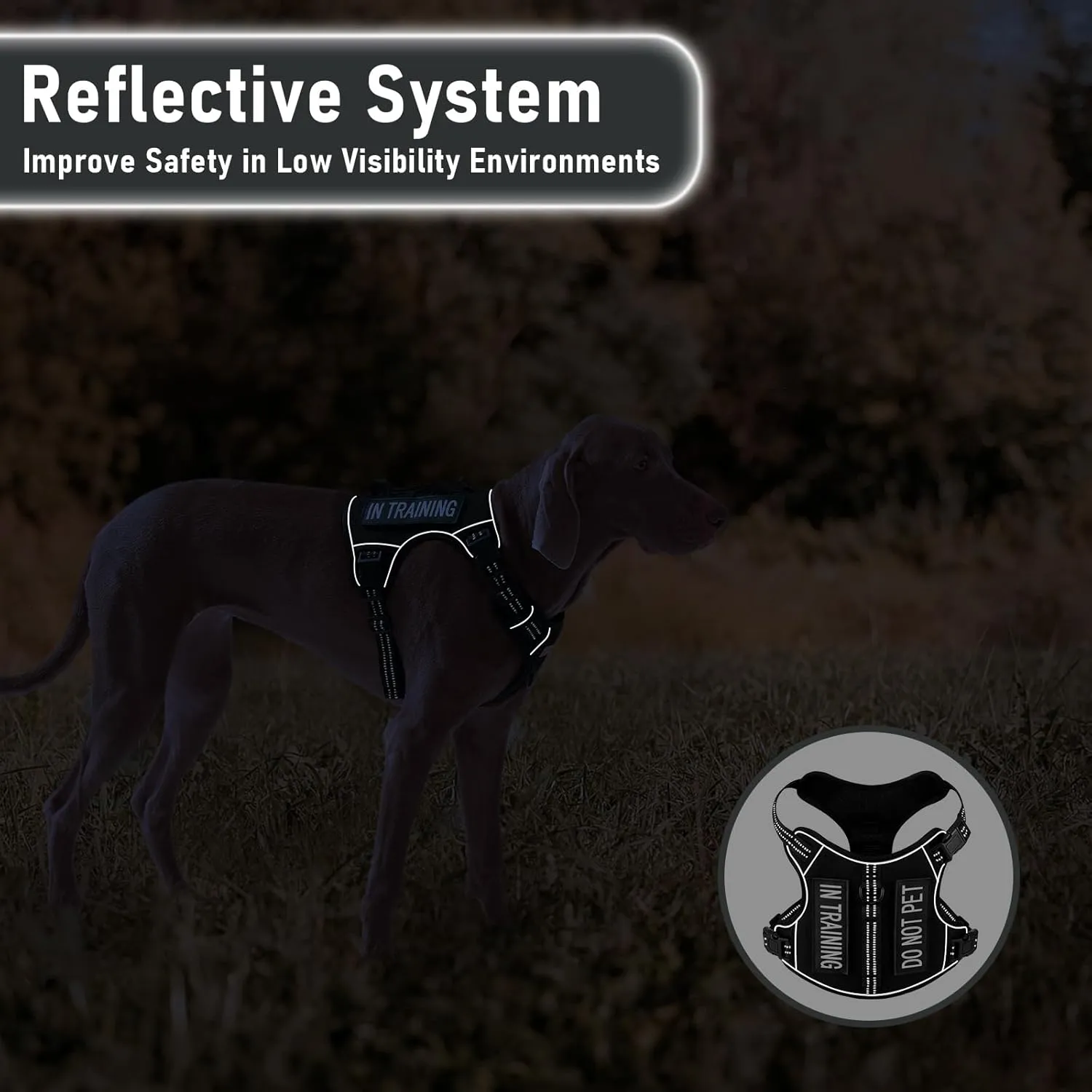 Dog Harness for Small Dog Breeds, Non Pulling Escape Proof Black Reflective Puppy Vest Harness with Handle, No Choke, Adjustable and Soft Padded, for Easy Walking and Training for Small Sized Dogs