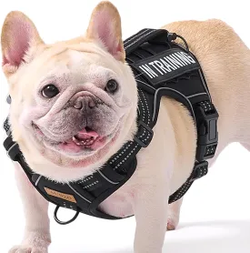 Dog Harness for Small Dog Breeds, Non Pulling Escape Proof Black Reflective Puppy Vest Harness with Handle, No Choke, Adjustable and Soft Padded, for Easy Walking and Training for Small Sized Dogs