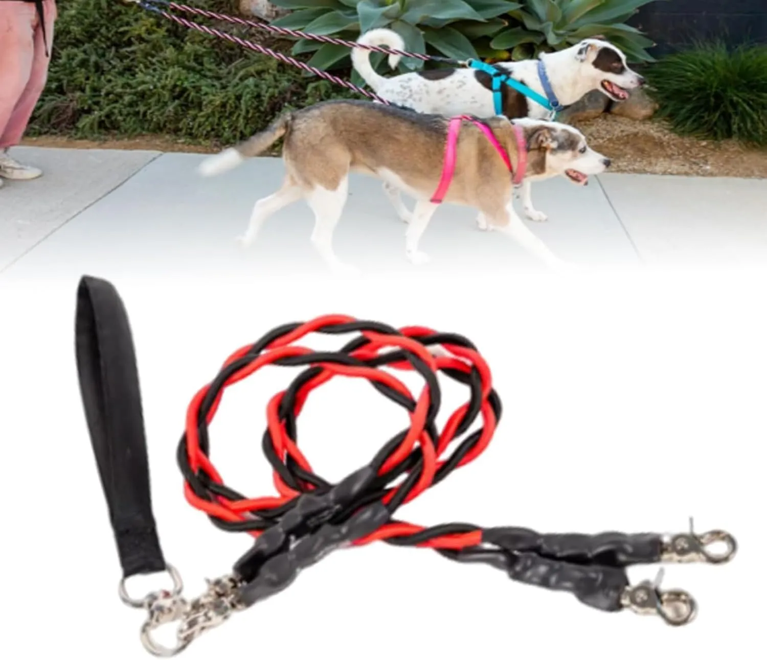 Double Bungee Leash - 1st Step Training Tool, No Tangle Dual Leash for 2 Dogs, Sturdy Walking Training Lead, Padded Handles, for Small, Medium, Large Breeds (Yelow, Medium)