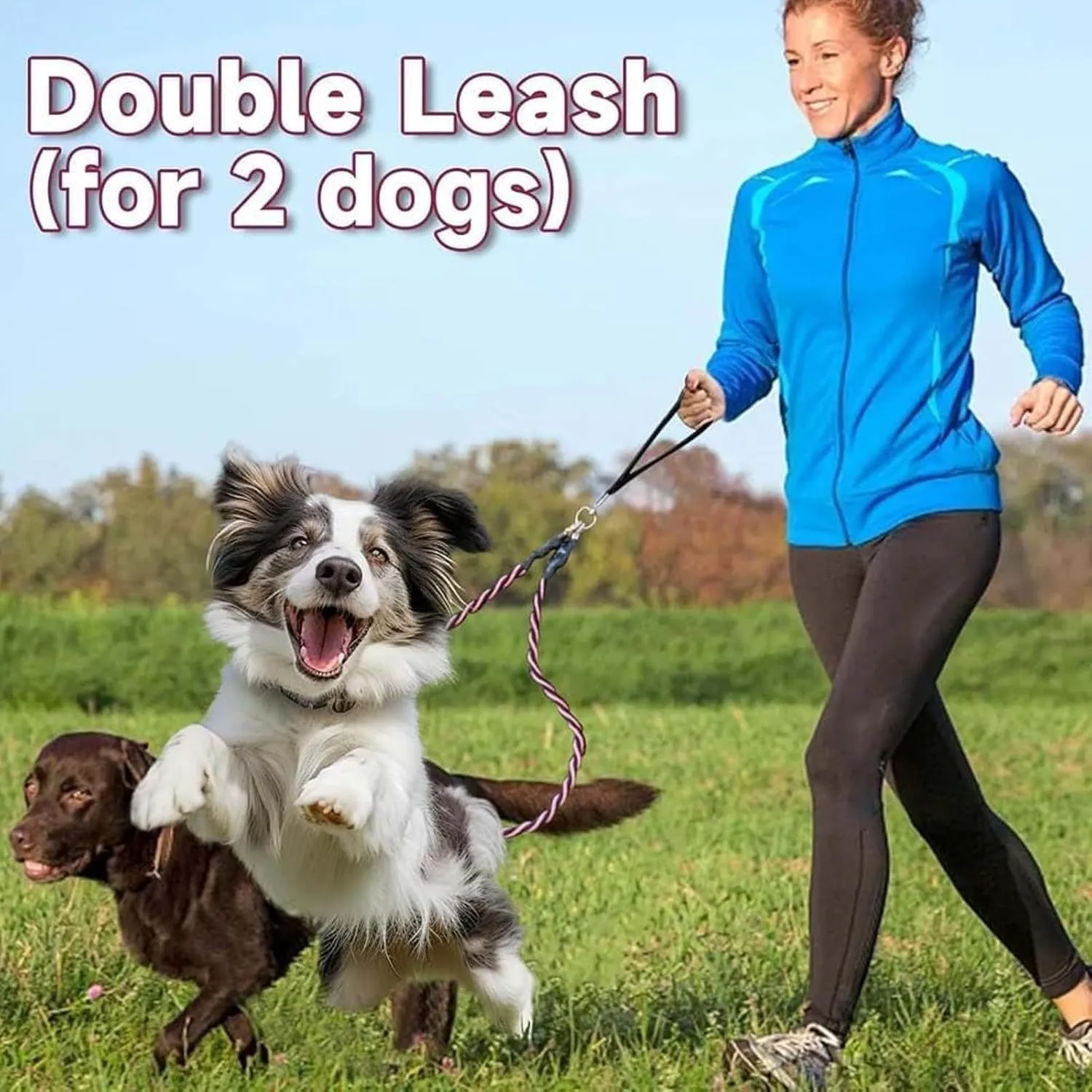 Double Bungee Leash - 1st Step Training Tool, No Tangle Dual Leash for 2 Dogs, Sturdy Walking Training Lead, Padded Handles, for Small, Medium, Large Breeds (Yelow, Medium)
