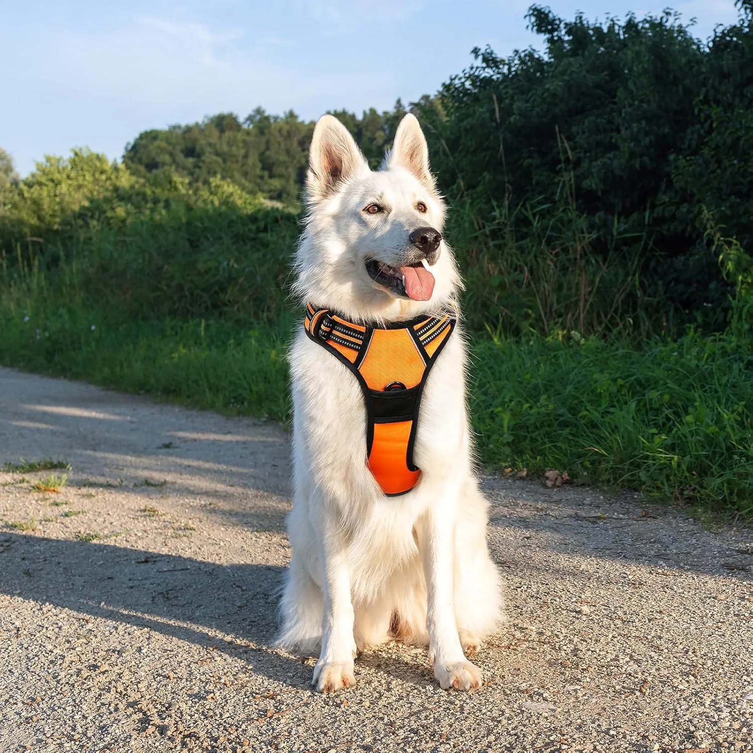 Eagloo Dog Harness Large Breed, No Pull Service Vest with Reflective Strips and Control Handle, Adjustable and Comfortable for Easy Walking, No Choke Pet Harness with 2 Metal Rings, Orange, XL