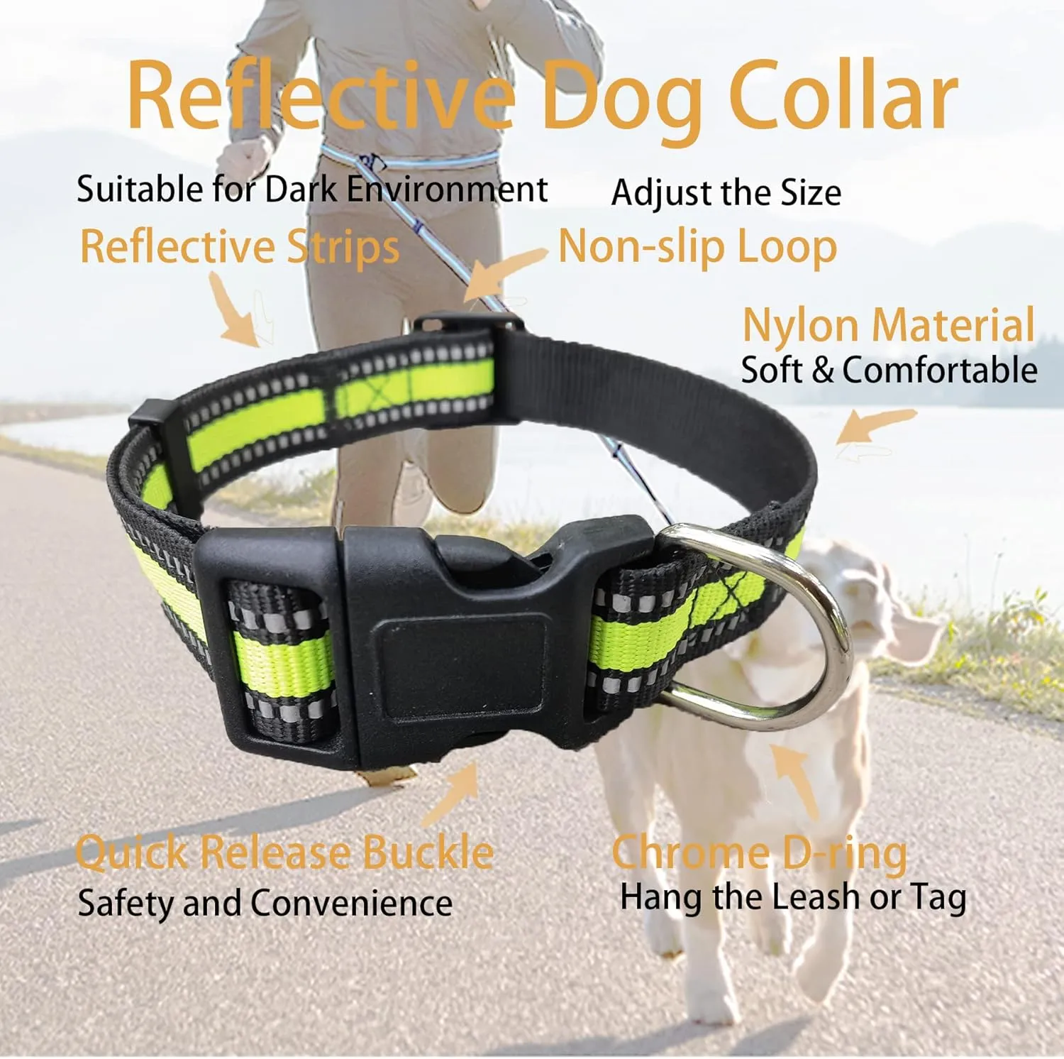 Hands Free Dog Leash  Dog Collar, Bungee for Walking Jogging and Running for Dogs, Professional Lead Walker Harness with Reflective Stitches Adjustable Waist Belt Fits Waist (Green, with Collar)