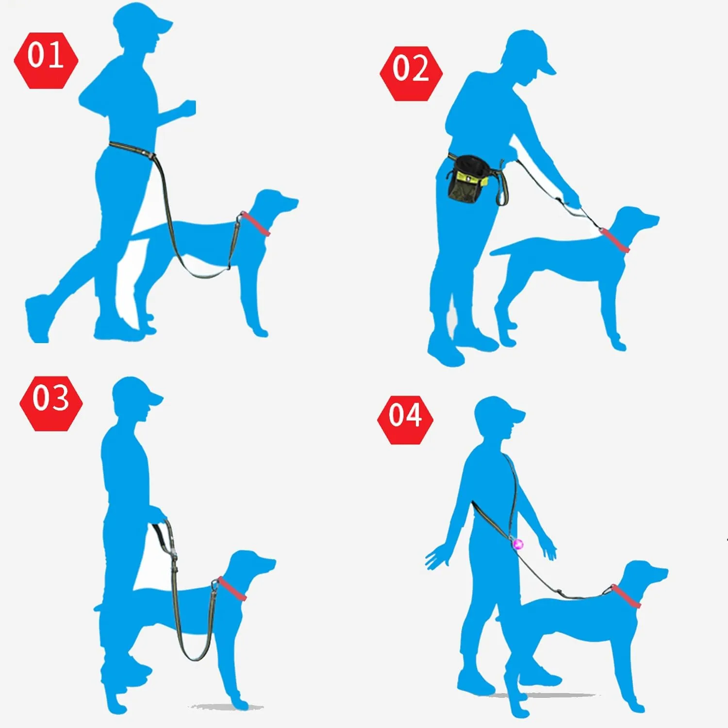 Hands Free Dog Leash  Dog Collar, Bungee for Walking Jogging and Running for Dogs, Professional Lead Walker Harness with Reflective Stitches Adjustable Waist Belt Fits Waist (Green, with Collar)