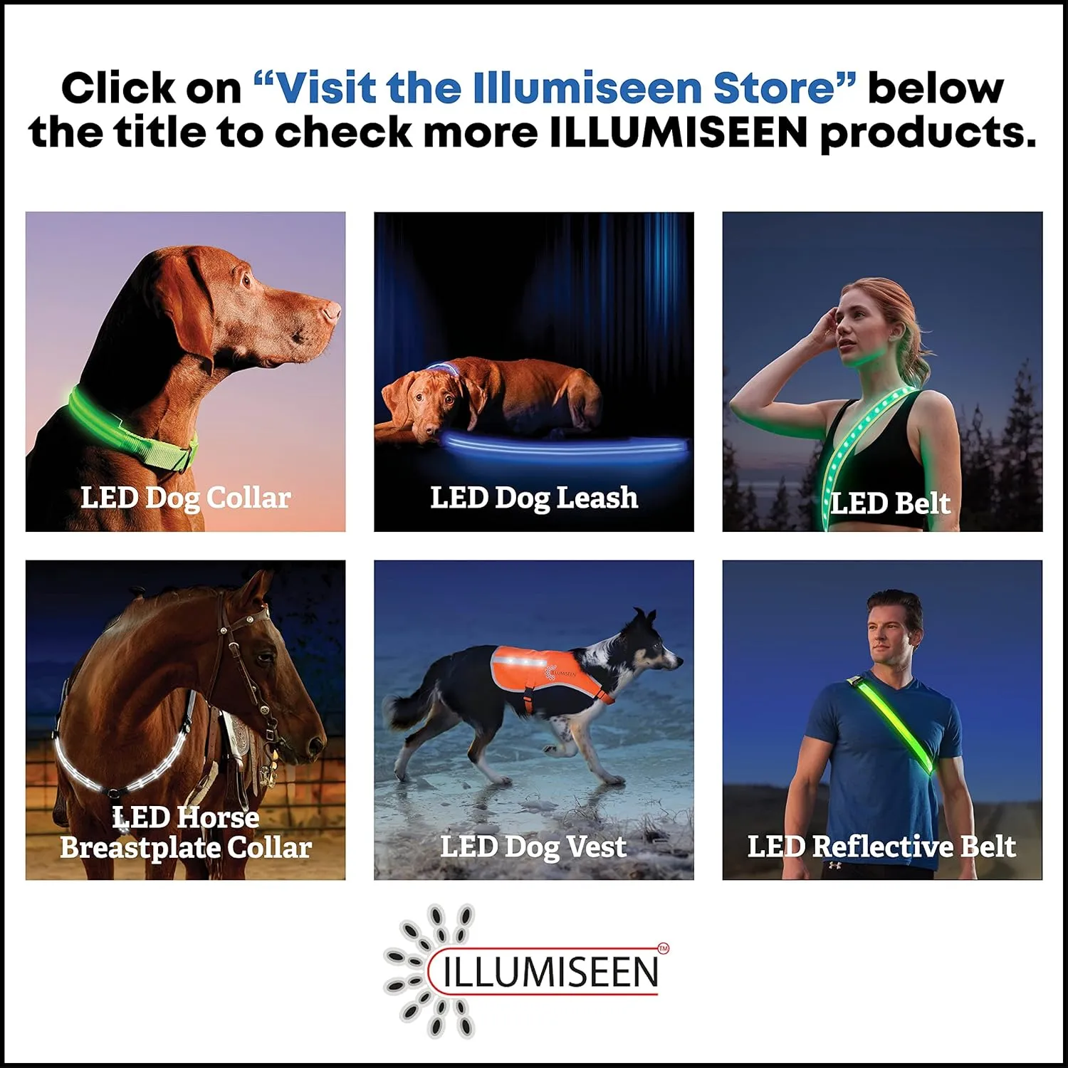 ILLUMISEEN LED Dog Collar USB Rechargeable - Bright & High Visibility Lighted Glow Collar for Pet Night Walking -Weatherproof, in 6 Colors & 6 Sizes (Pink Large)