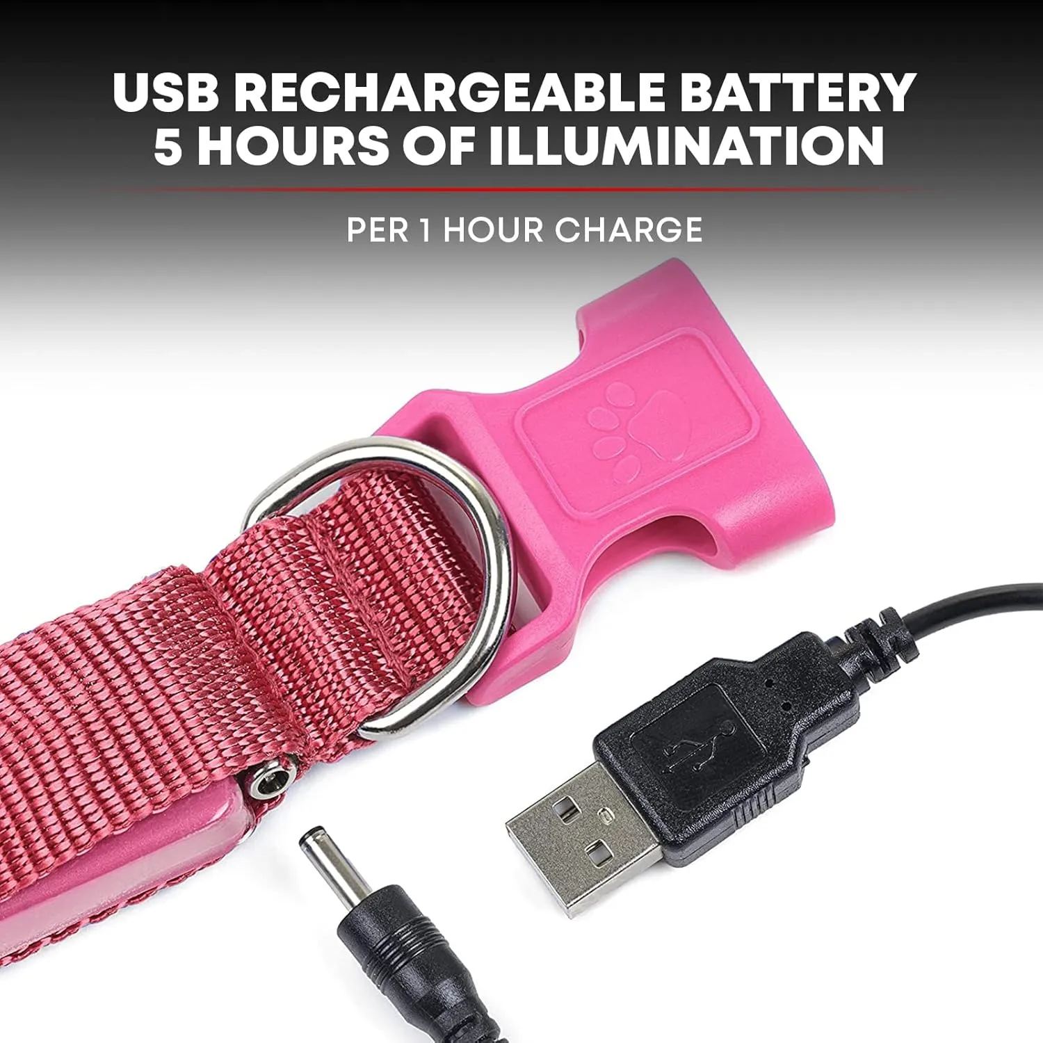 ILLUMISEEN LED Dog Collar USB Rechargeable - Bright & High Visibility Lighted Glow Collar for Pet Night Walking -Weatherproof, in 6 Colors & 6 Sizes (Pink Large)