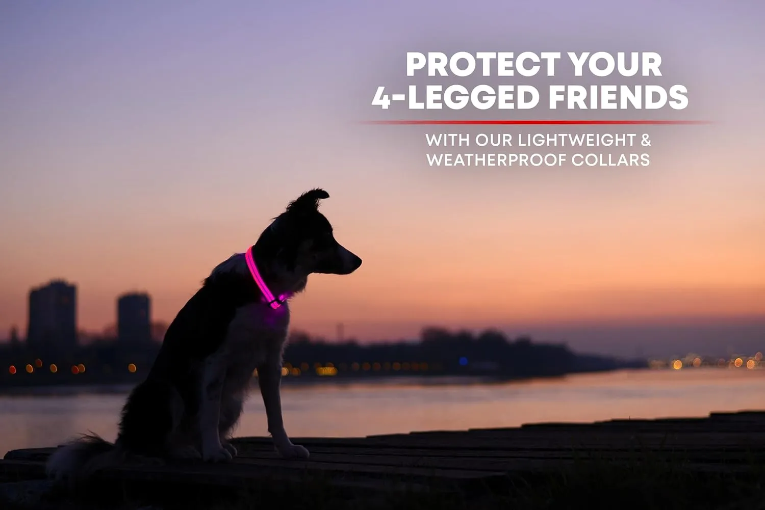 ILLUMISEEN LED Dog Collar USB Rechargeable - Bright & High Visibility Lighted Glow Collar for Pet Night Walking -Weatherproof, in 6 Colors & 6 Sizes (Pink Large)