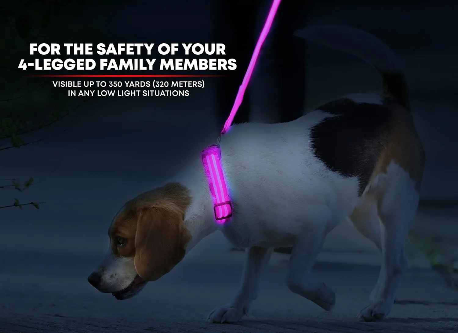 ILLUMISEEN LED Dog Collar USB Rechargeable - Bright & High Visibility Lighted Glow Collar for Pet Night Walking -Weatherproof, in 6 Colors & 6 Sizes (Pink Large)