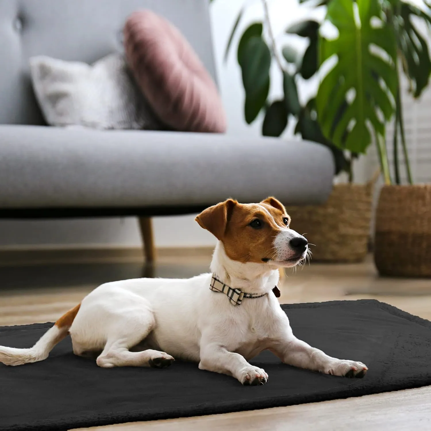 Kritter Planet Waterproof Sofa Blanket for Dogs, Pee Proof Reversible Couch Cover, Liquid Proof Furniture Protector, Washable, Hair Resistant, Stain Proof