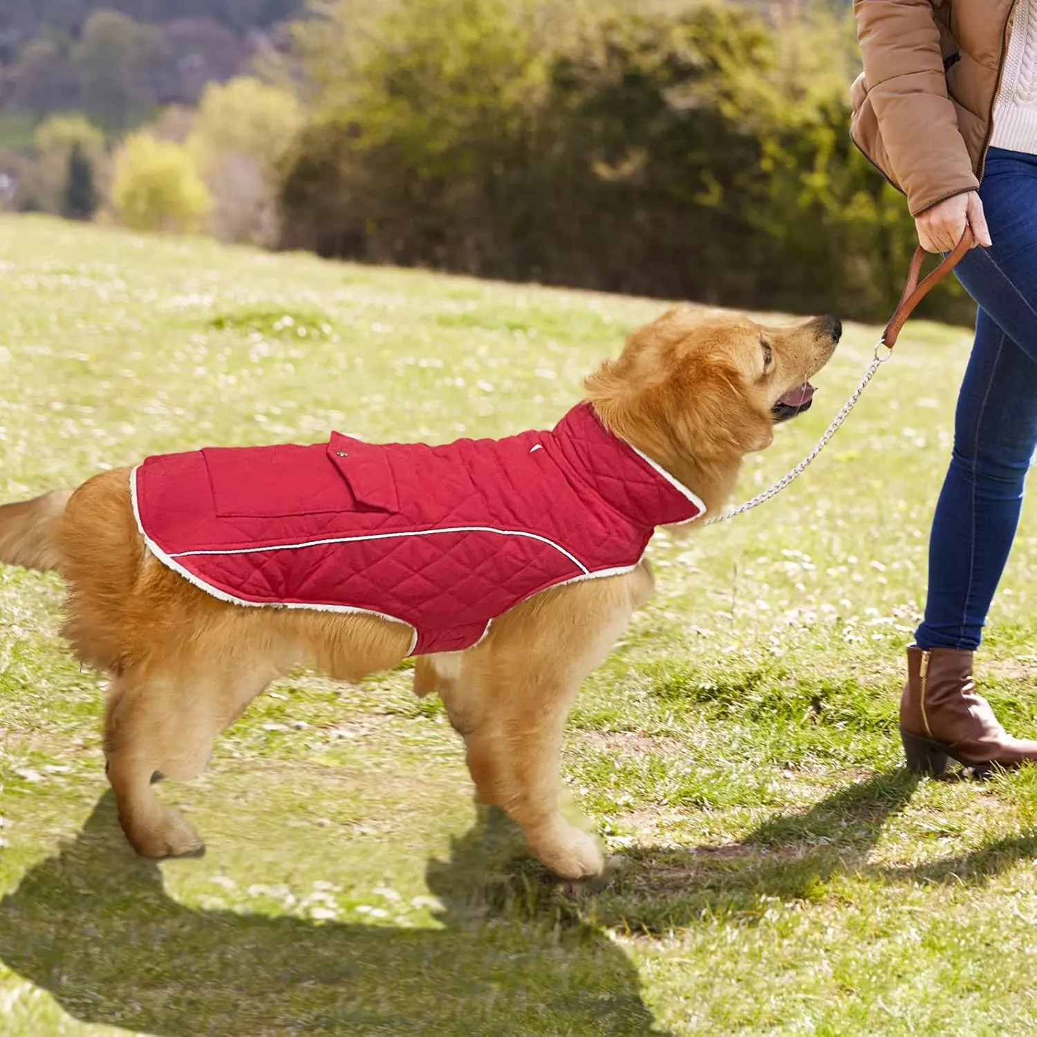 Malier Winter Coat, Windproof Cold Weather Coat with Real Pocket, Extra Warm Dog Fleece Jacket Reflective Clothes for Small to Large Dogs and Puppy (Red, X-Small)