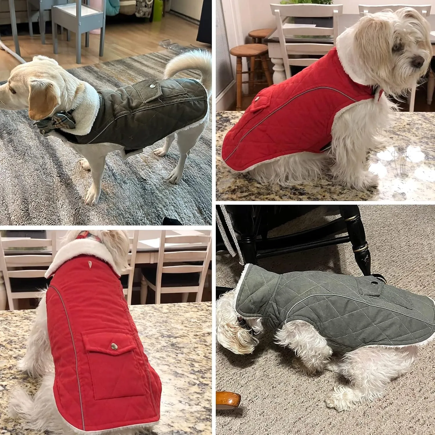 Malier Winter Coat, Windproof Cold Weather Coat with Real Pocket, Extra Warm Dog Fleece Jacket Reflective Clothes for Small to Large Dogs and Puppy (Red, X-Small)