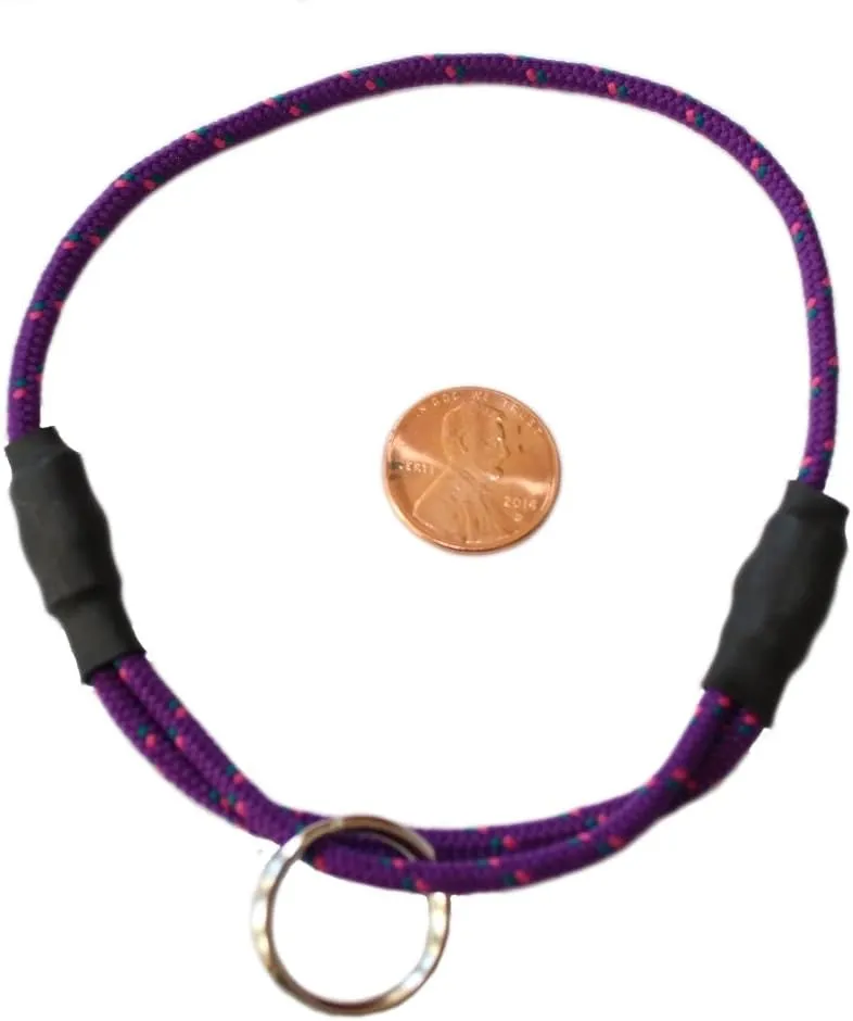 National Leash Thin Mountain Rope Dog ID Collar - Plum Punch -XS/Toy Size (6"-12") - The Original Snickers Collar