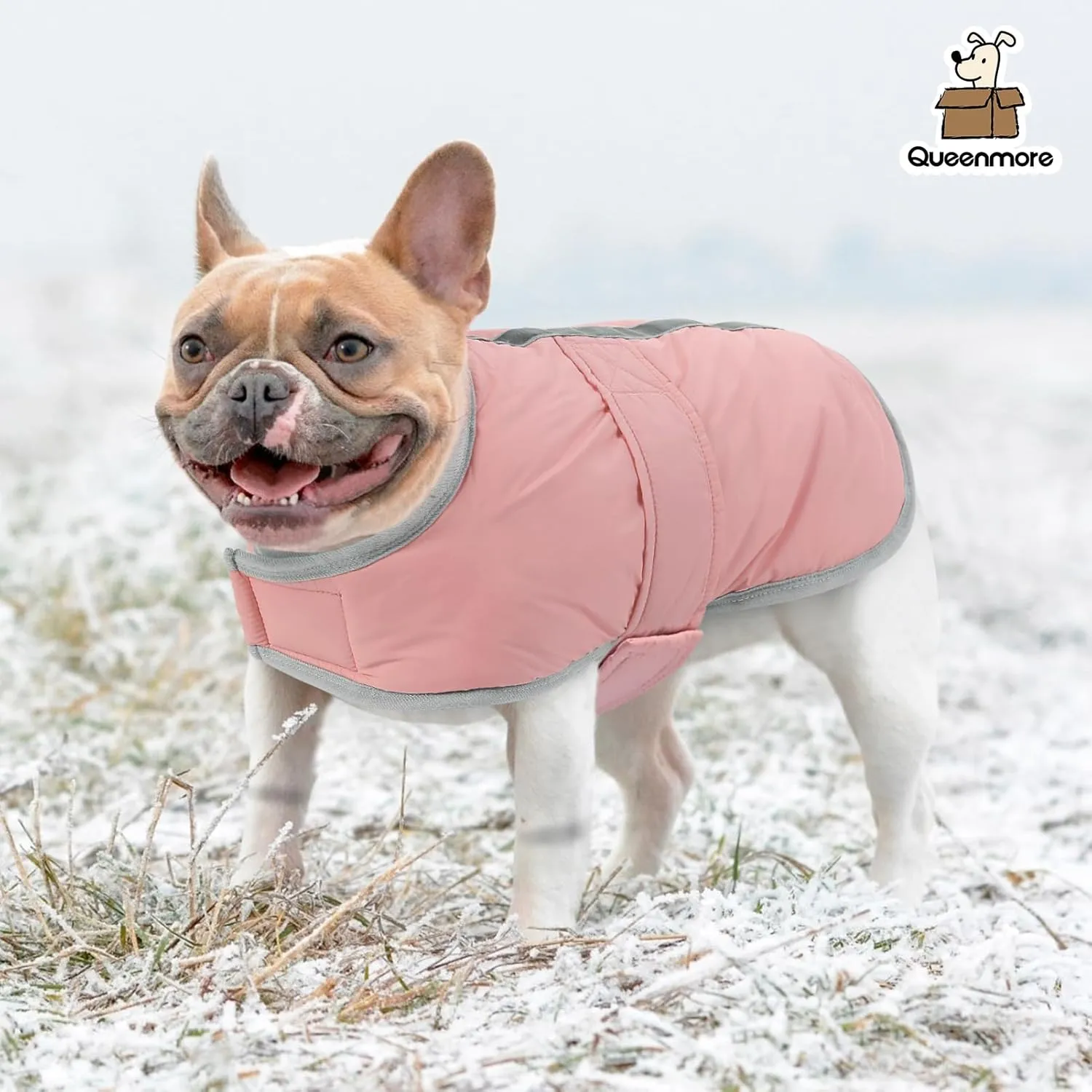 Queenmore Dog Winter Coat, Fleece Puffer Dog Down Vest, Cold Weather Pet Jacket for Dogs, Waterproof Reflective Reversible Dog Sweater Clothes for Small, Medium and Large Dogs (Light Pink, XS)