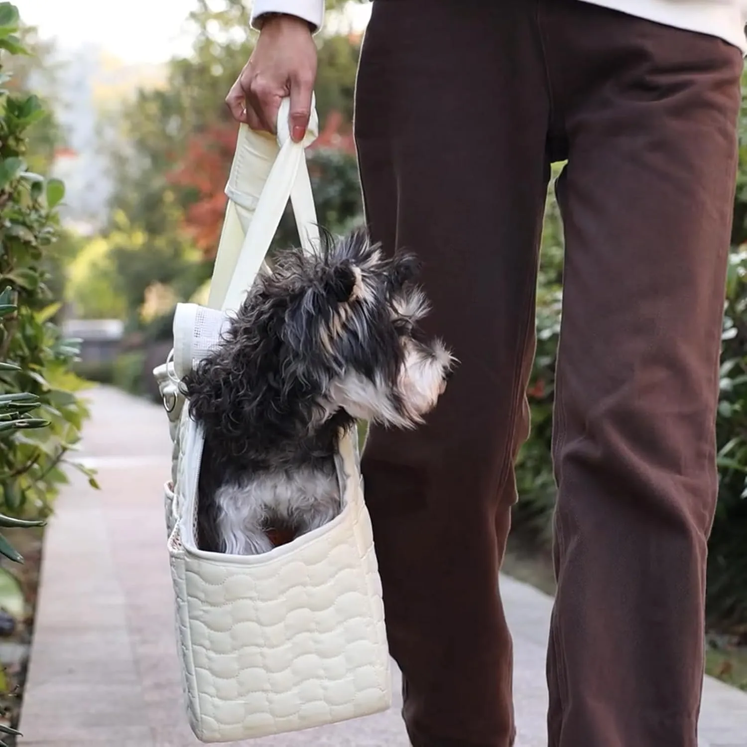Small Dog Purse Cat Carrier Bag,Adult Cat/Puppy Carriers Bag Large Cat with Multiple Pockets,Breathable Mesh Soft Cushion,Traveling Pets Tote Picnic Outdoor 15lb (Grey2, Large)