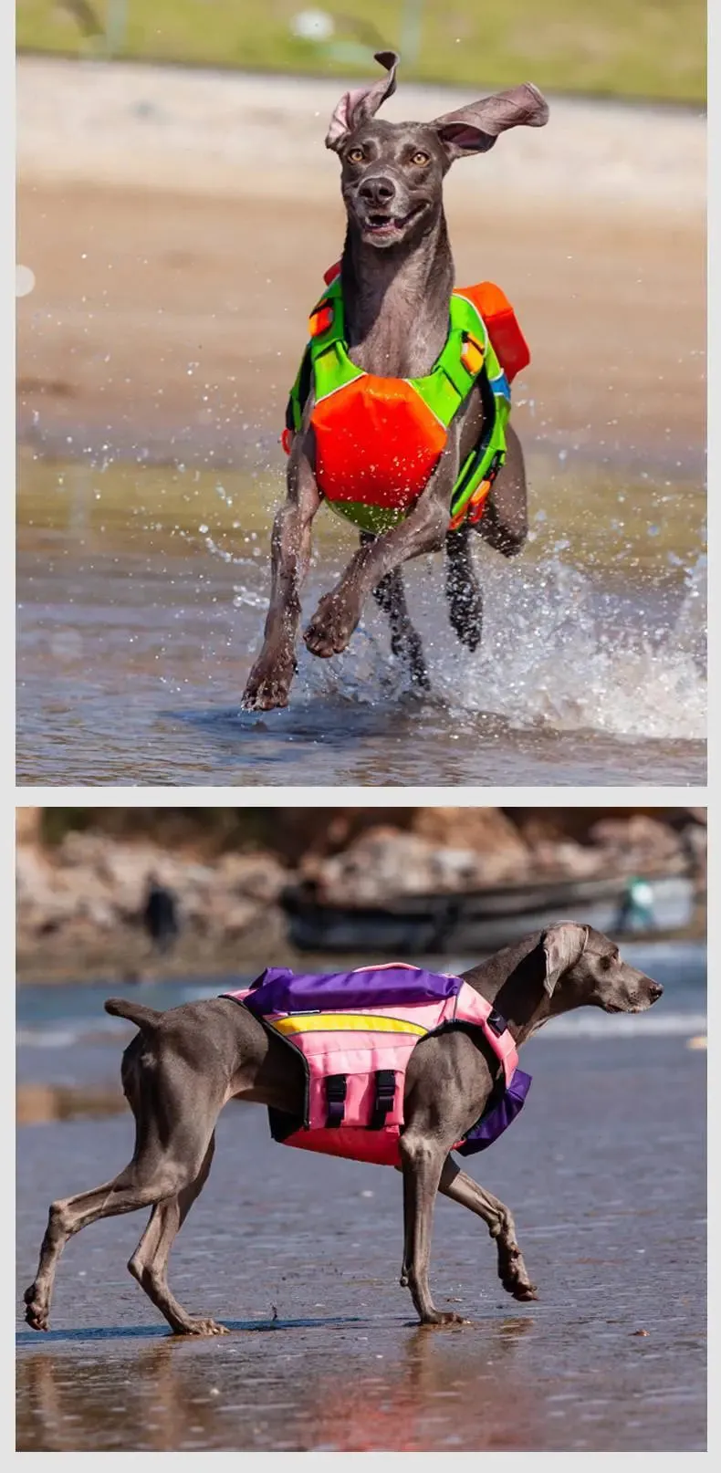 Summer Cooling Dog Swimsuit to Prevent Drowning