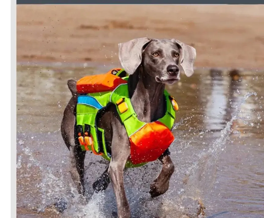 Summer Cooling Dog Swimsuit to Prevent Drowning