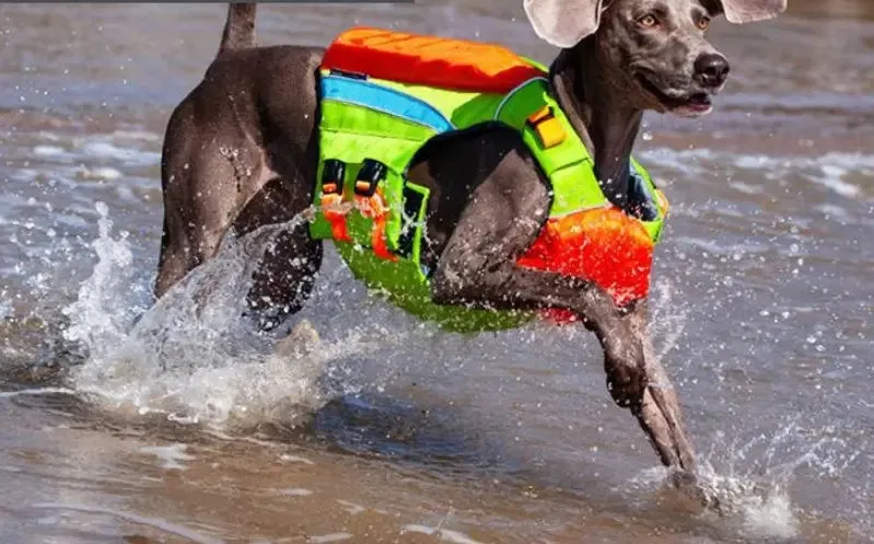 Summer Cooling Dog Swimsuit to Prevent Drowning