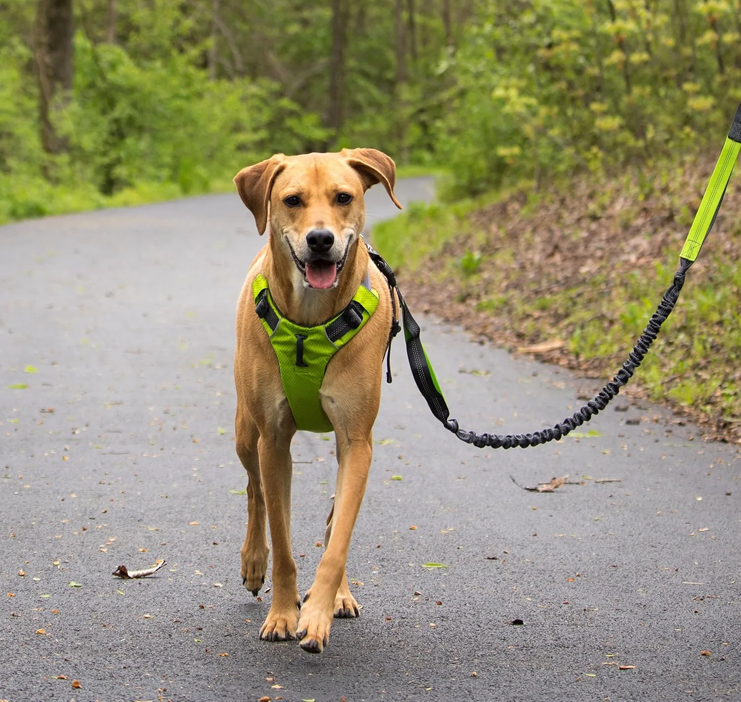 Tuff Mutt Dog Harness for Medium & Large Breeds, Easy On Easy Off with a No Pull Front Chest Clip, Walk, Run & Hike with Confidence, Stay Safe with Bright Reflective Stitching